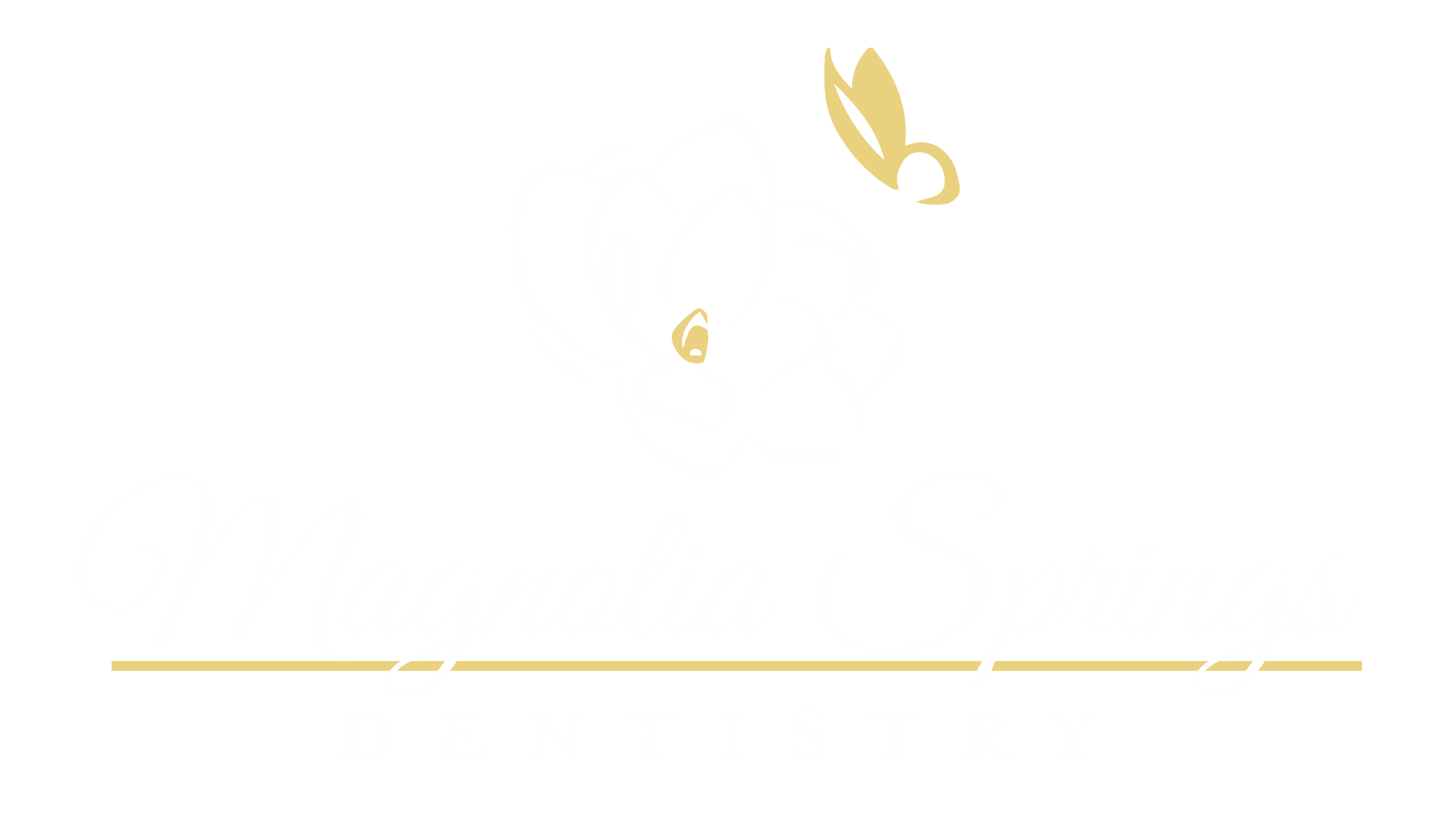 Magnolia Springs Dentistry
